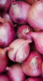 చలికాలంలో ఉల్లిపాయలు తింటే ఇన్ని లాభాలున్నాయా?