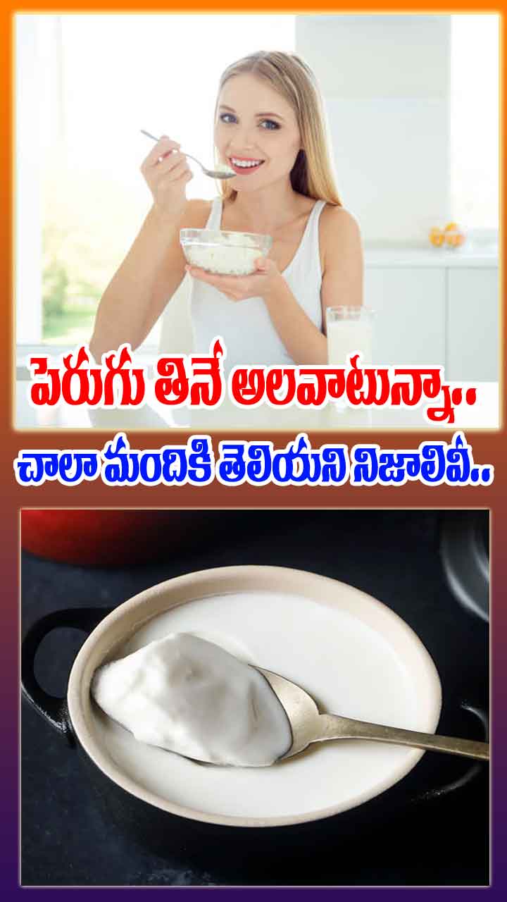 పెరుగు తినే అలవాటున్నా.. చాలా మందికి తెలియని నిజాలివీ.. 