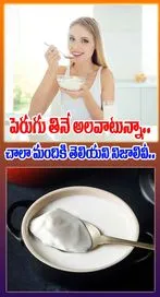 పెరుగు తినే అలవాటున్నా.. చాలా మందికి తెలియని నిజాలివీ.. 