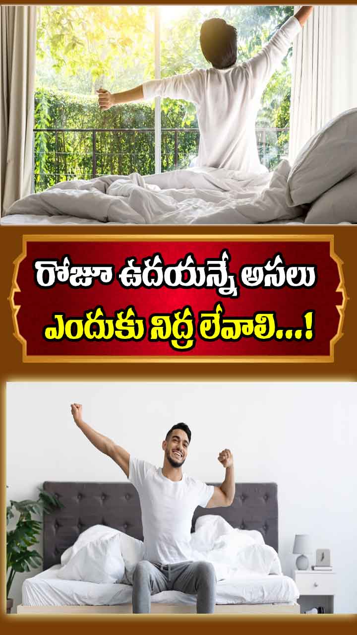 రోజూ అసలు పొద్దున్నే ఎందుకు నిద్ర లేవాలి..