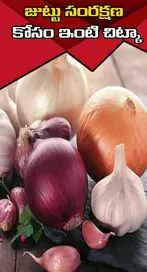 వెల్లుల్లి ఉల్లి రసం జుట్టుకు ఏది బెస్ట్..?