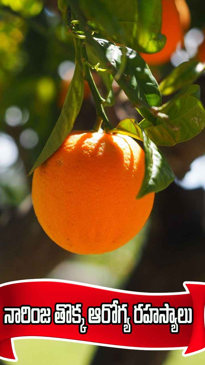 నారింజ తొక్క అద్భుత ఆరోగ్య రహస్యాలు ఏంటంటే