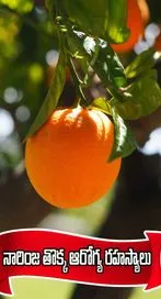 నారింజ తొక్క అద్భుత ఆరోగ్య రహస్యాలు ఏంటంటే