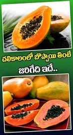 చలికాలంలో బొప్పాయి తింటే కలిగే ప్రయోజనాలు ఇవే..