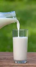 ఈ పాలు తాగితే.. షుగర్, బీపీ, కొలెస్ట్రాల్, అలర్జీ.. అన్ని దూరం