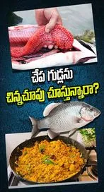 చేప గుడ్లతో బోలెడు లాభాలు..