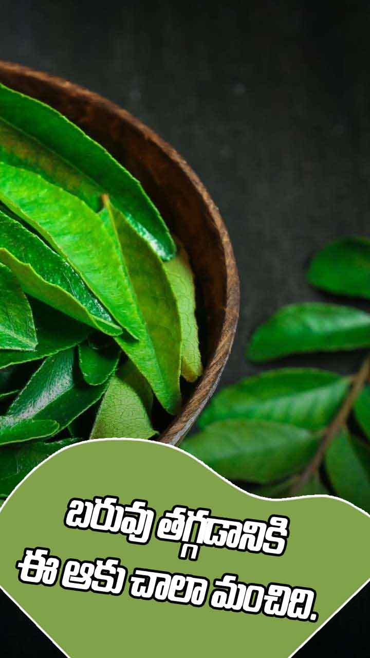 బరువు తగ్గాలనుకునే వారు ఈ ఆకు బాగా ఉపయోగపడుతుంది