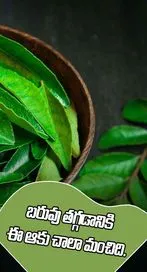 బరువు తగ్గాలనుకునే వారు ఈ ఆకు బాగా ఉపయోగపడుతుంది
