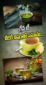 గ్రీన్‌ టీ మంచిదని తెగ తాగేస్తున్నారా..?