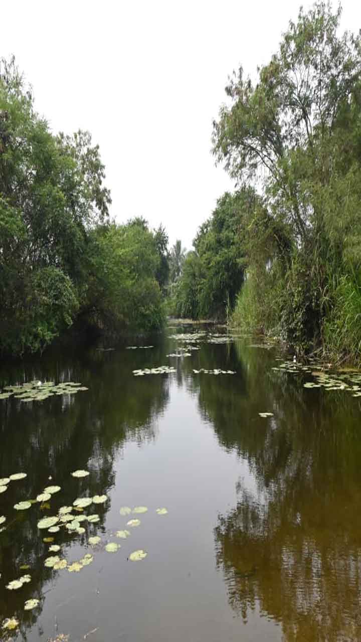 ఫొటో కలెక్షన్ ఆఫ్ ది డే