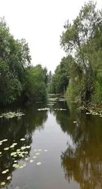 ఫొటో కలెక్షన్ ఆఫ్ ది డే