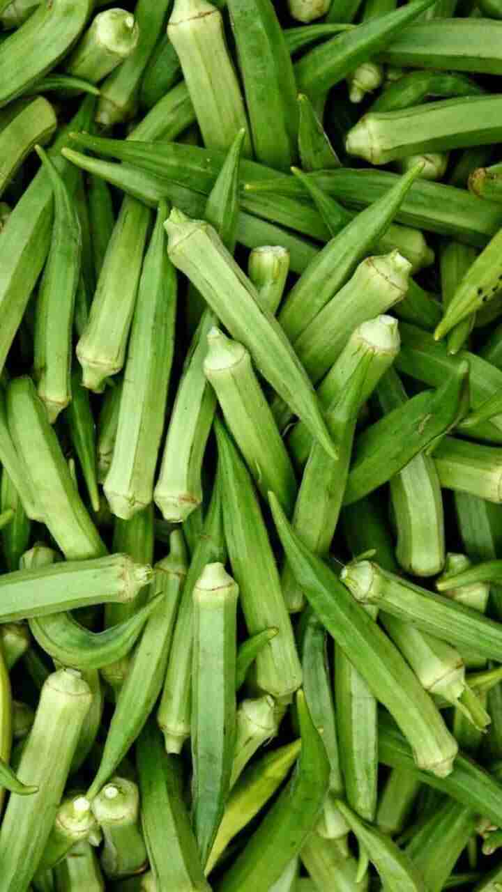 బెండకాయల గురించి మీకు తెలియని షాకింగ్  నిజాలివి!