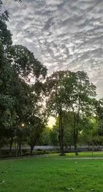 ఉదయం ఎలాంటి శబ్ధాలు వింటే మంచిదో తెలుసా?