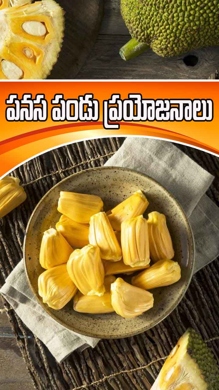 పనస పండు ఇష్టంగా తింటున్నారా 