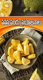 పనస పండు ఇష్టంగా తింటున్నారా 