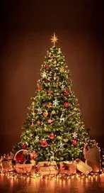 క్రిస్మస్‌ స్టార్ ఎందుకు పెడతారో మీకు తెలుసా?