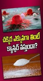 చక్కెర ఎక్కువగా తింటే క్యాన్సర్ వస్తుందా? నిజం ఏంటంటే…