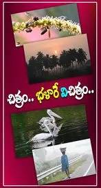 ఫొటో కలెక్షన్ ఆఫ్ ది డే