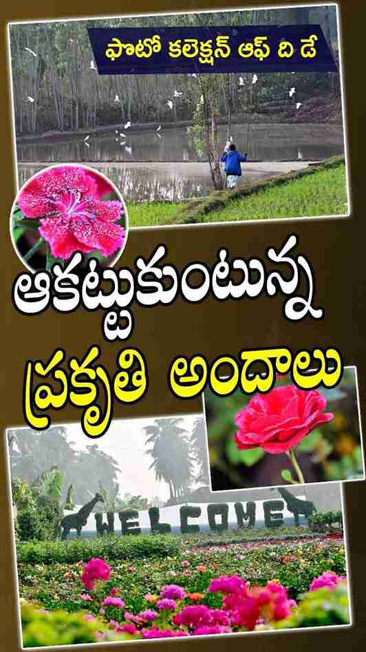 ఫొటో కలెక్షన్ ఆఫ్ ది డే