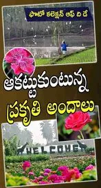 ఫొటో కలెక్షన్ ఆఫ్ ది డే