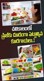 చలికాలంలో ఫ్రిజ్‌కు దూరంగా పెట్టాల్సిన కూరగాయలు..!