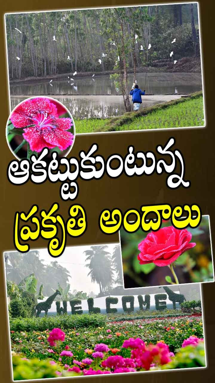 ఫొటో కలెక్షన్ ఆఫ్ ది డే