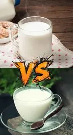 వేడి పాలు vs చల్లని పాలు ఏవి ఆరోగ్యానికి మంచివి?