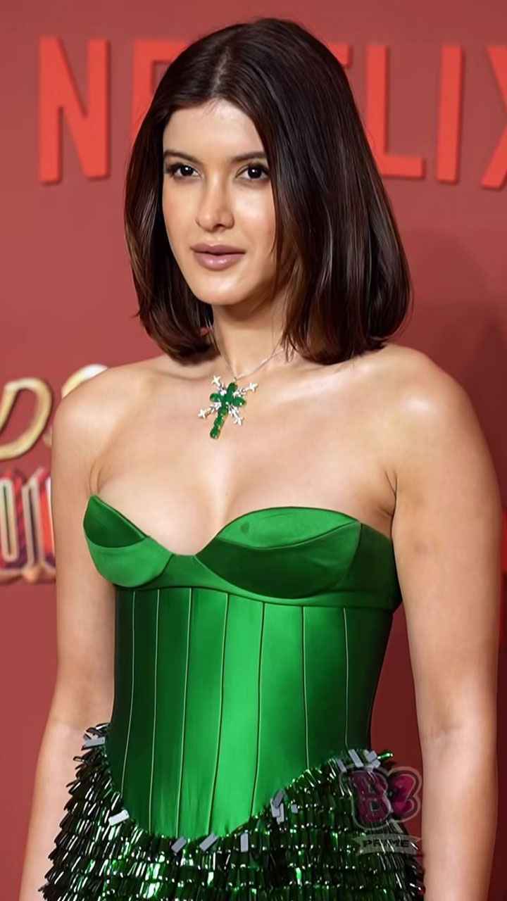 అర్య‌న్ ఖాన్ మూవీ ప్రివ్యూ.. మెరిసిన బాలీవుడ్ తార‌లు