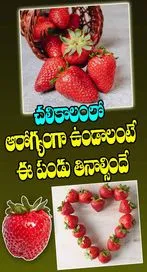 చలికాలంలో ఆరోగ్యంగా ఉండాలంటే ఈ పండు తినాల్సిందే