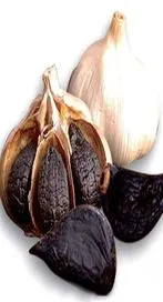 నల్ల వెల్లుల్లి.. క్యాన్సర్‌కు చెక్ పెట్టగలదా..?