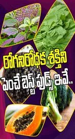 రోగనిరోధక శక్తిని పెంచె బెస్ట్ ఫుడ్స్ ఇవే..