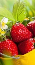 రోజుకు ఎన్ని స్ట్రాబెర్రీలు తినాలో తెలుసా?