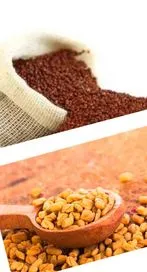 రాగి జావతో మెంతులు కలిపి తీసుకోవడం వల్ల కలిగే లాభాలు..