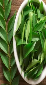 కొలస్ట్రాల్, బ్లడ్ షుగర్ సమస్యలు.. కరివేపాకుతో చెక్ పెట్టండి.. 