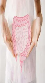 గట్ హెల్త్‌ కోసం.. వీటికి దూరంగా ఉండండి..