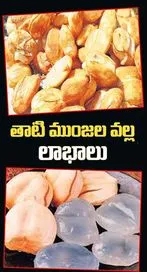 వేసవిలో తాటి ముంజల వల్ల లాభాలు