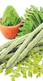 షుగర్, హార్ట్ ప్రాబ్లమ్.. ములక్కాడలు తింటే.. 