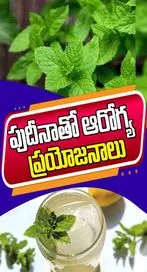 పుదీనాతో ఆరోగ్య ప్రయోజనాలు