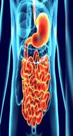 ఈ సూపర్ ఫుడ్స్.. మీ లివర్, గట్ హెల్త్‌ను కాపాడతాయి.. 