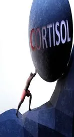 ఈ సూపర్ ఫుడ్స్.. కార్టిసాల్ ఉత్పత్తిని తగ్గిస్తాయి!