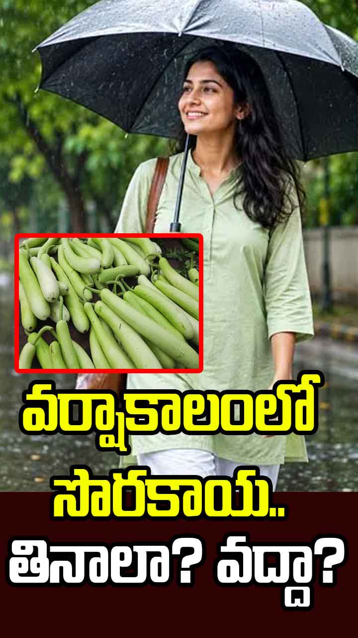 వర్షాకాలంలో సొరకాయ.. తినాలా? వద్దా?